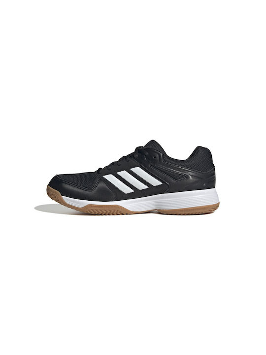 Speedcourt Sport Shoes Volleyball Black