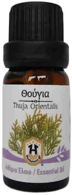 Herbstore Θούγια Ulei Esențial Thuja 10ml