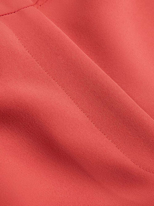 273268-coral