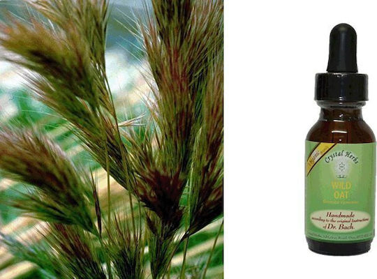 Crystal Herbs Αγριοβρώμη Ανθοΐαμα σε Σταγόνες 25ml 1τμχ