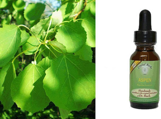Crystal Herbs Αγριολεύκη Ανθοΐαμα σε Σταγόνες 25ml 1τμχ