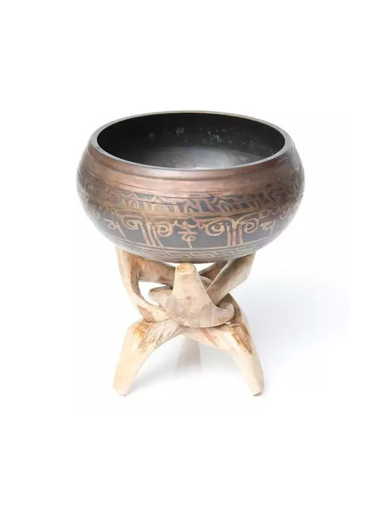 Ancient Wisdom Декоративно Морска раковина от Дървο 15см 1бр