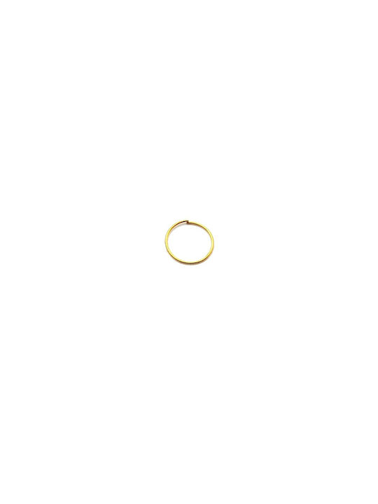 FantazyStores Nose Earring Hoop Gold Plated