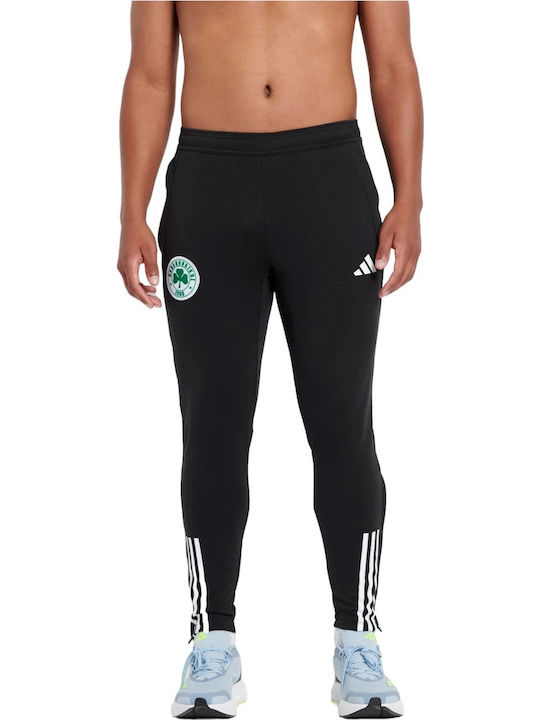 Panaithanaikos 2023/24 Training Pants Fotbalistic Pantaloni de trening cu Elastic Negru