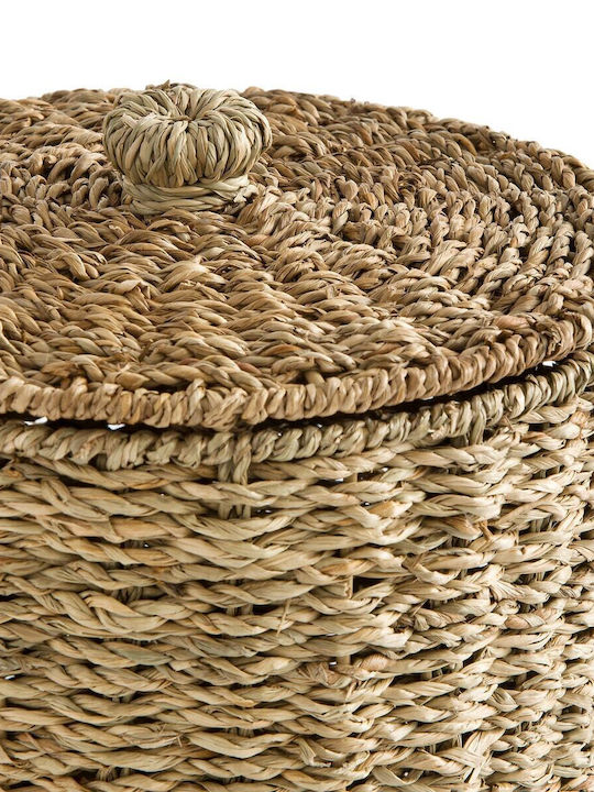 La Redoute Interieurs Wäschekorb aus Korbweide mit Deckel Beige