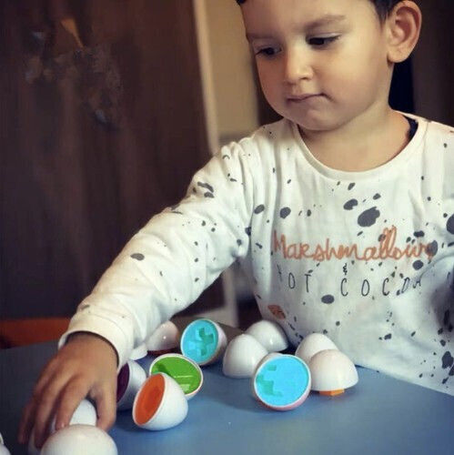 Shape Sorting Toy Puzzle Eggs Set