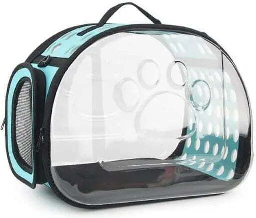 Carrier Dog Carrying Transparent Handbag