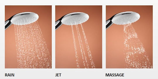 Grohe Tempesta 110 Handheld Showerhead