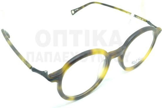 Paul Frank Weiblich Kunststoff Brillenrahmen 8155 4040