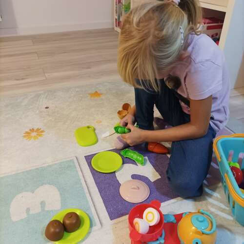 Joc cu fructe și legume 22buc