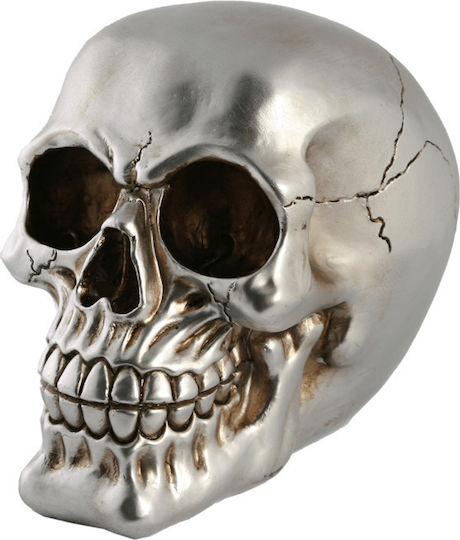 Skull Cutiuta de bani 15cm