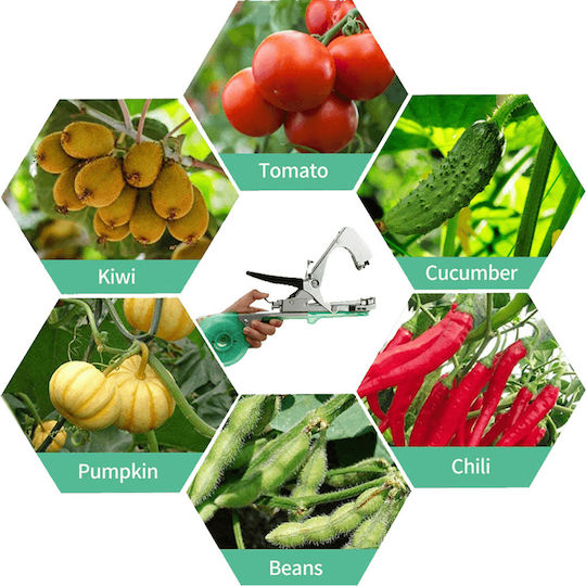 Plant Tie 2831121183474