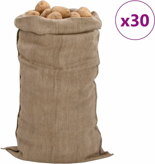 vidaXL Мрежести мешци за бране на маслини 65x135см 30бр