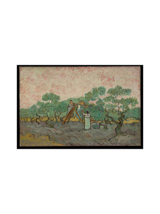 Olives Painting Copy of Van Gogh on Canvas 65x40cm
