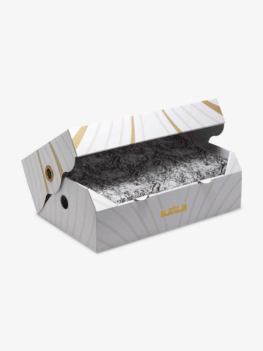 LeBron 21 cu talpă joasă Pantofi de baschet Light Bone / Dark Russet / Oranja De Foc