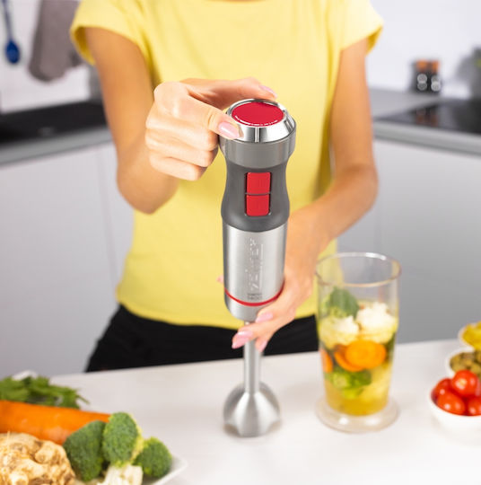 Zelmer Hand Blender with Inox Rod 1400W Silver