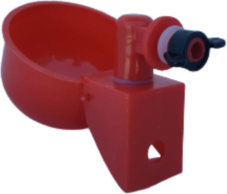 Automatic Watering Can for Birds