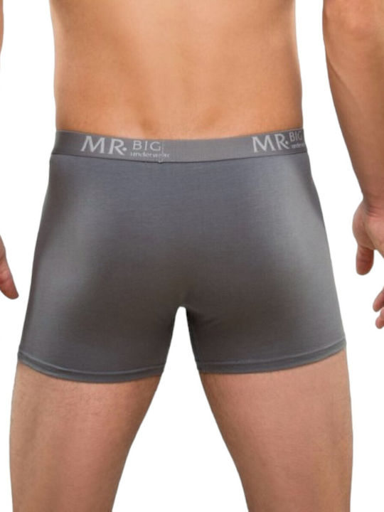 Mr.Big Herren Boxershorts Grey 1Packung