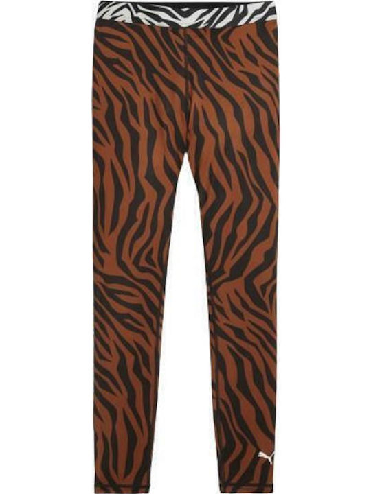 Animal Remix Women's Cropped Training Legging Teak