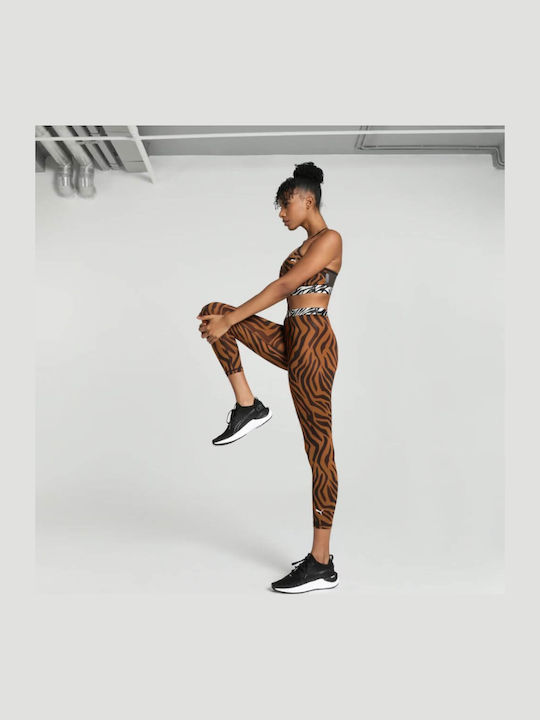 Animal Remix Women's Cropped Training Legging Teak
