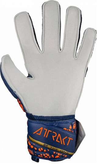 Reusch Reusch Attrakt Solid Kids Goalkeeper Gloves Multicolour