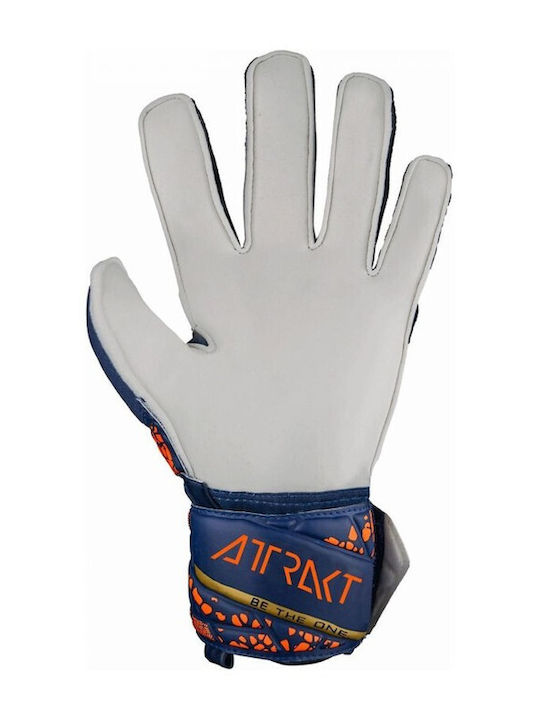 Reusch Reusch Attrakt Solid Adults Goalkeeper Gloves Multicolour
