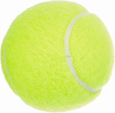 Dunlop Fort All Court Tournament Tennis Balls 4pcs