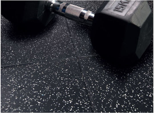 Alpine Fitness Δάπεδο Οργάνων Γυμναστηρίου Μαύρο 100x100x2cm 1τμχ