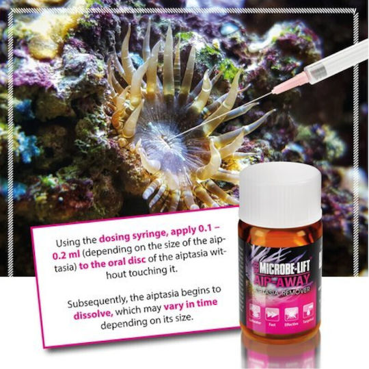 Microbe-Lift Βελτιωτικό Νερού Ενυδρείου 50ml