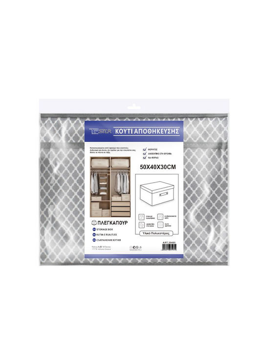 Tpster Πλαστικό Κουτί Αποθήκευσης με Καπάκι 50x40x30cm