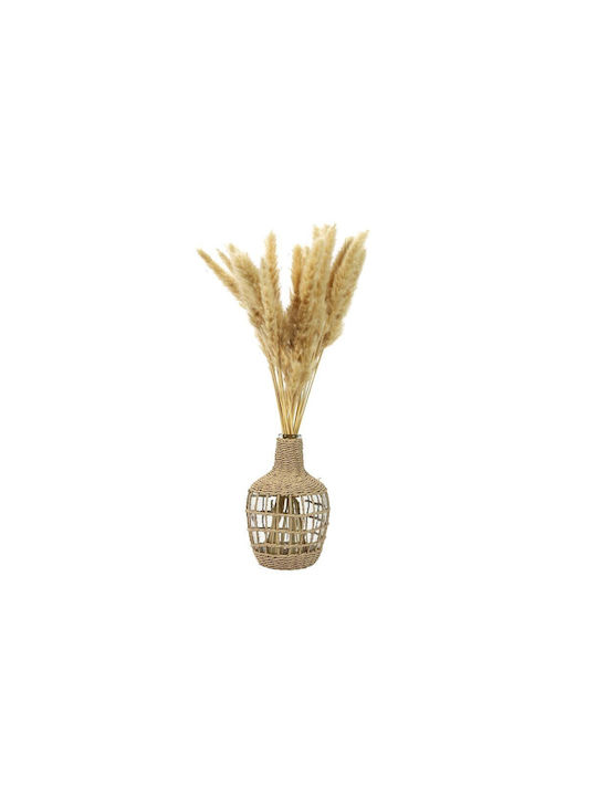 Decorative Vase Transparent 18x16x25.5cm