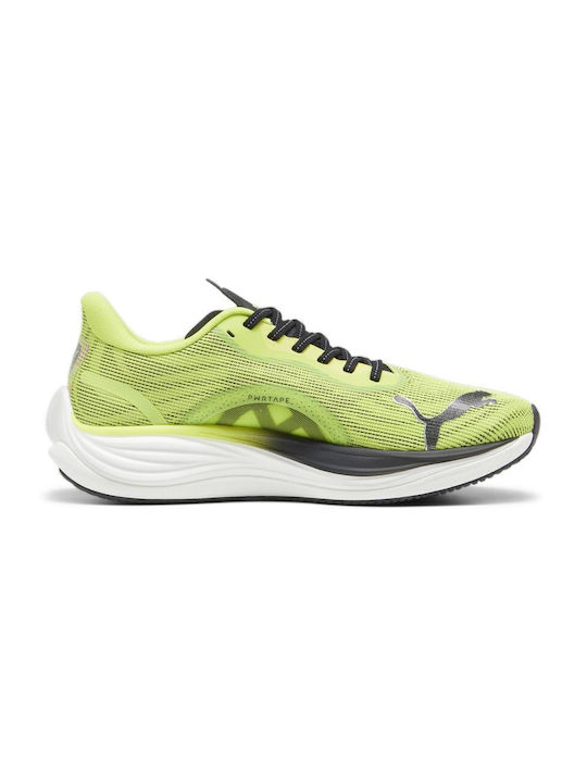 Velocity Nitro 3 Sport Shoes Running Psychedelic Rush