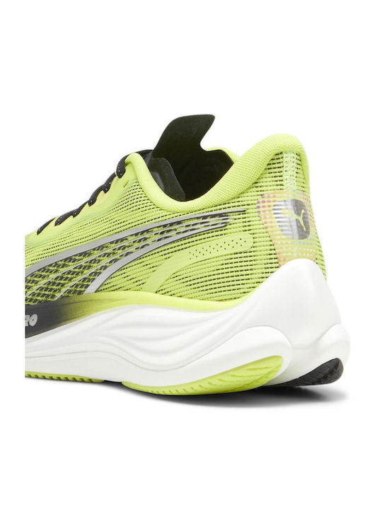 Velocity Nitro 3 Sport Shoes Running Psychedelic Rush