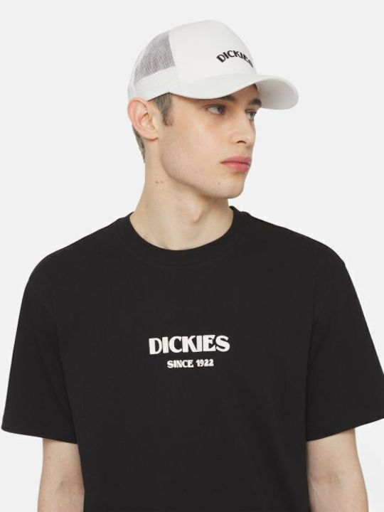 Dickies Dickies