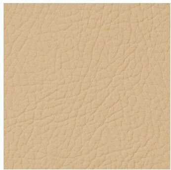 Leather Expert Spray auto Vopsea pentru Piele Auto Bej 250ml