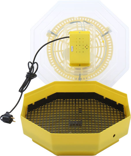 5 Automatische Eierinkubator