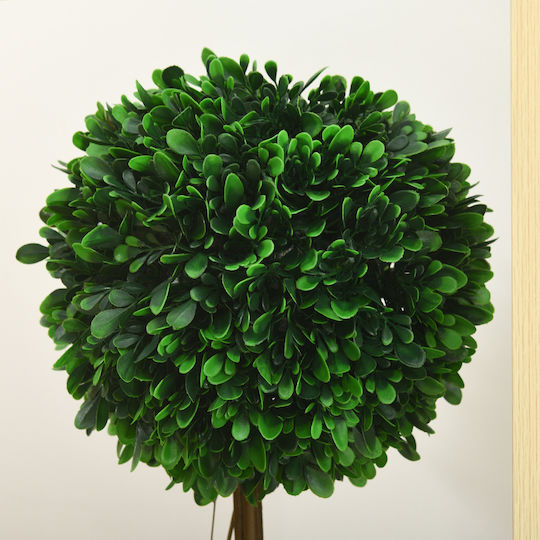 Πυξάρι σε Γλάστρα 60cm HomCom