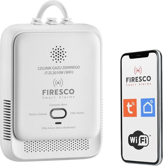Gasdetektor WLAN