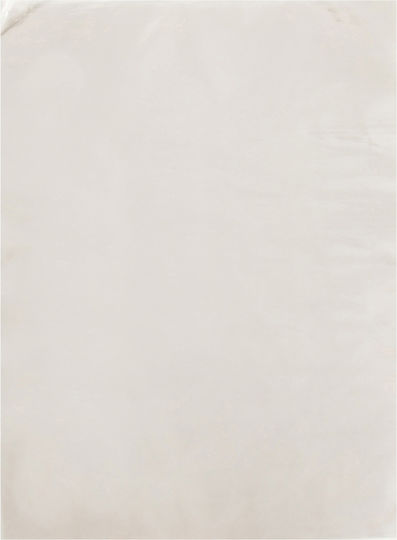 Pungă de ambalaj alimentar 3kg 30x25cm