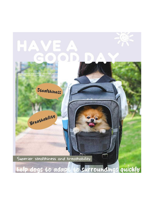 Petepela 1 Backpack Cat Carrier Bag Gray