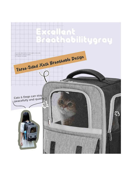 Petepela 1 Backpack Cat Carrier Bag Gray