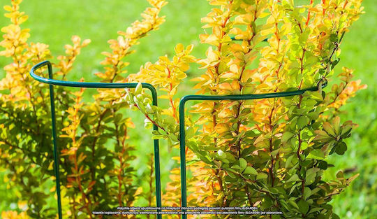 Eldrut Turnuri De Plante Metalice Verzi 75x25cm 3 Bucăți