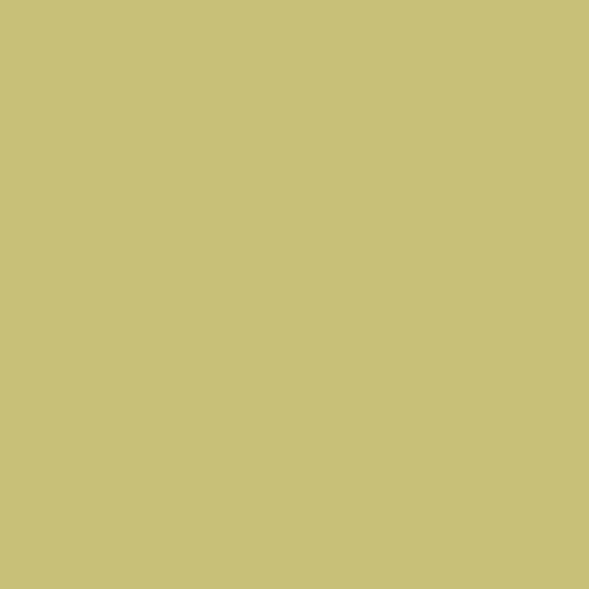 Colorama Photography Backdrop Paper 272x1100cm Green