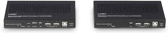 Lindy KVM & Data Switch 38344