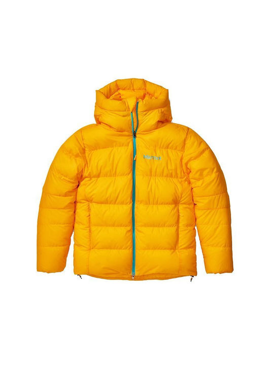 Marmot