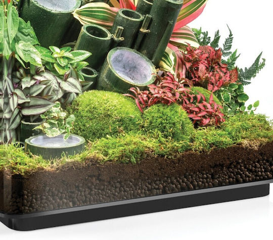 Terraria Biorb Earth Jungle Clay Balls Substrate for Reptiles Terrarium 2000gr