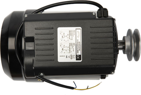 Cu o singură fază Motor electric 1.1hp Maximă Rotații 2800rpm 220V