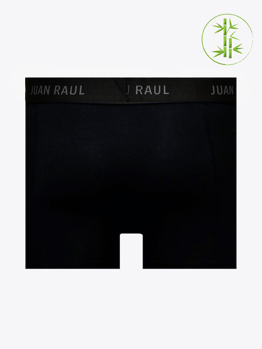 Juan Raul Juan Raul