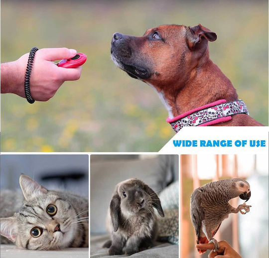 Oyefly 06 Clicker Обучение Куче в Черен цвят