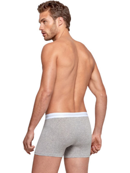 Impetus Men's Boxer Gray